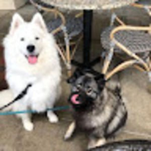 Meet your Posher, Alla